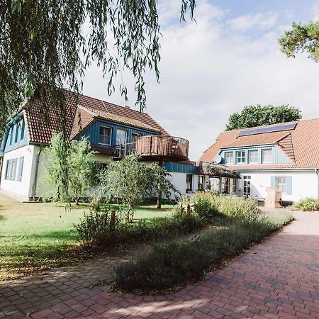 Ferienwohnung Haus am Schilf Wieck Exterior foto