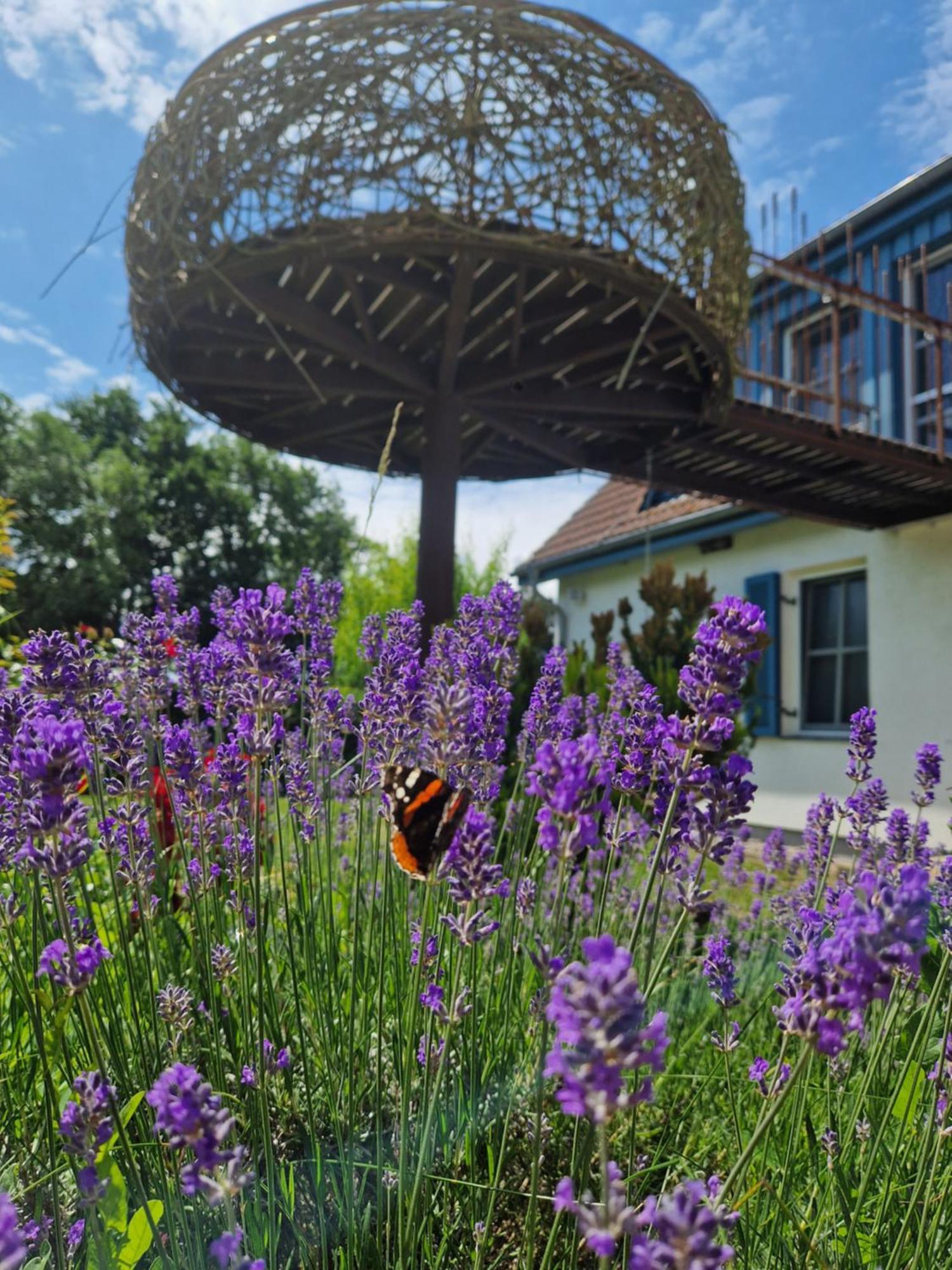 Ferienwohnung Haus am Schilf Wieck Exterior foto